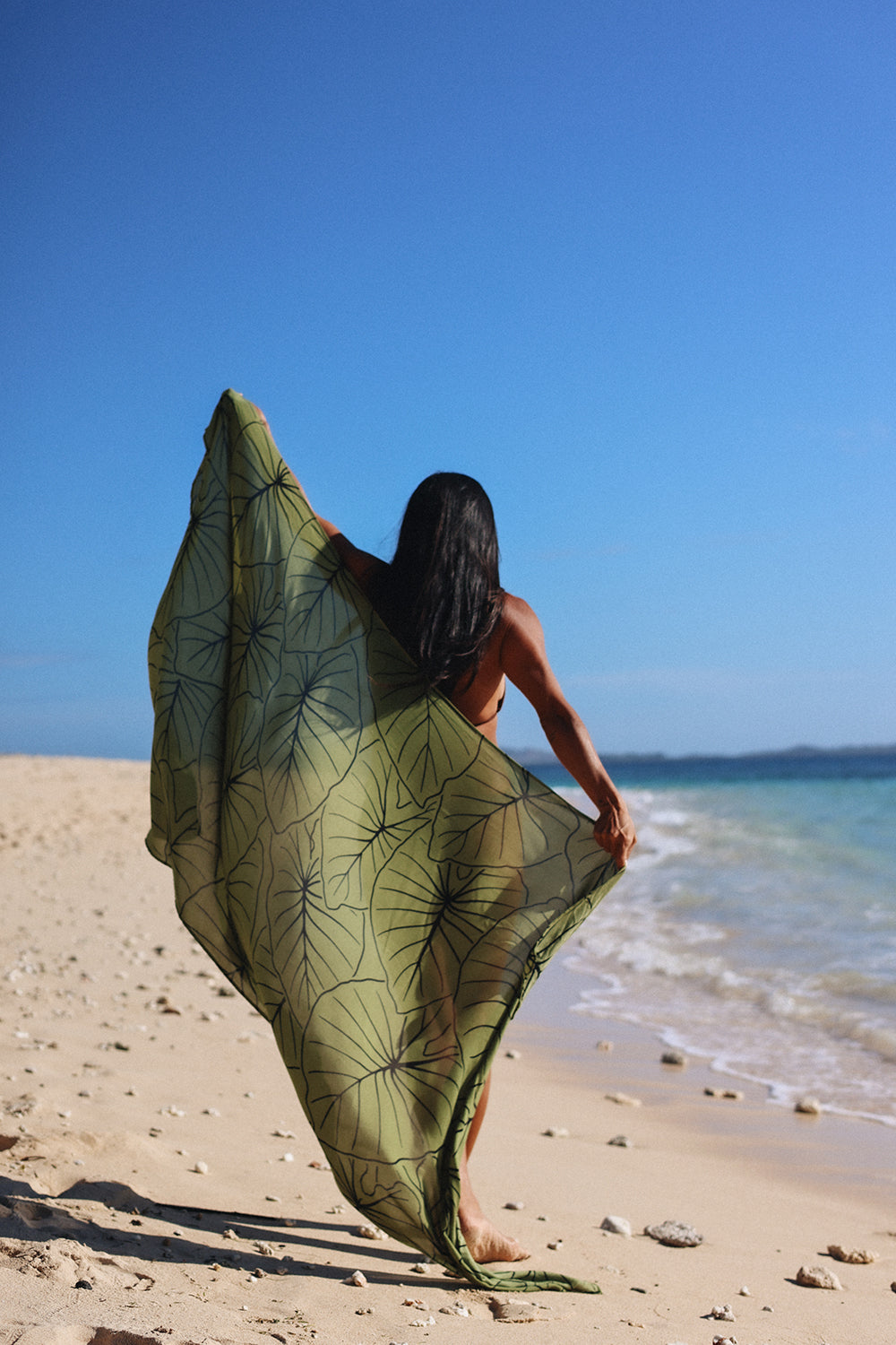 Lo'i Kalo Pareo